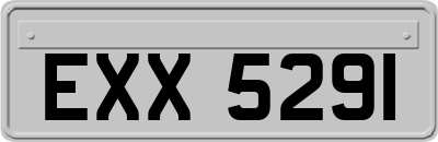 EXX5291