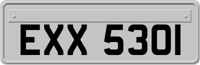 EXX5301