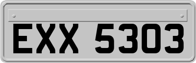 EXX5303