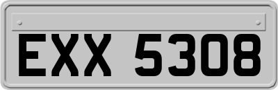 EXX5308