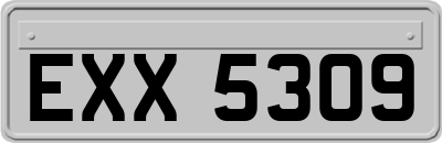 EXX5309