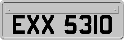 EXX5310