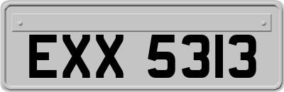 EXX5313