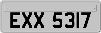 EXX5317