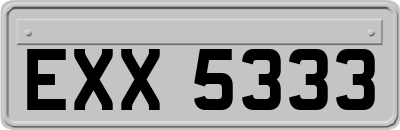 EXX5333