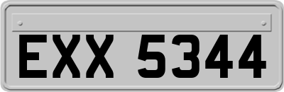 EXX5344