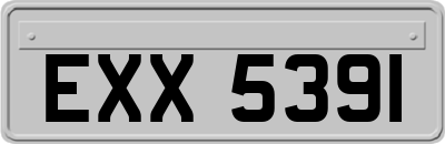 EXX5391