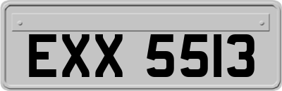 EXX5513