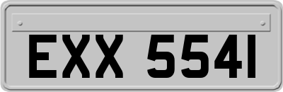 EXX5541