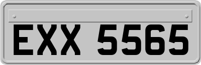 EXX5565