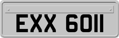 EXX6011