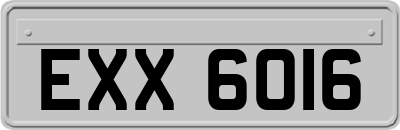 EXX6016