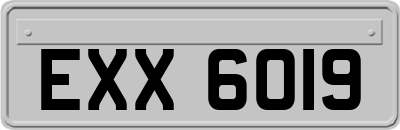 EXX6019