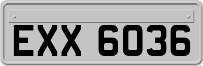 EXX6036