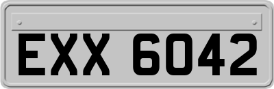 EXX6042