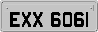 EXX6061