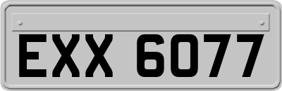 EXX6077