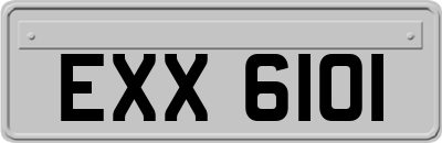 EXX6101