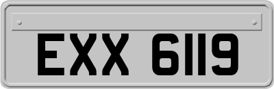 EXX6119