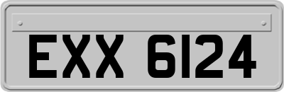 EXX6124