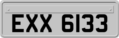 EXX6133
