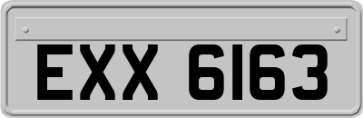 EXX6163