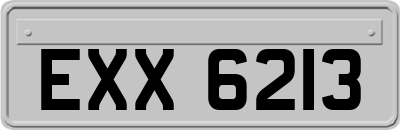 EXX6213