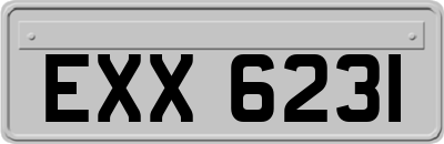 EXX6231