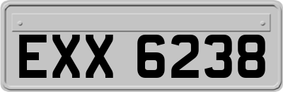 EXX6238