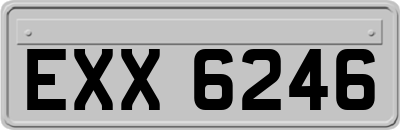 EXX6246