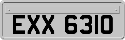 EXX6310