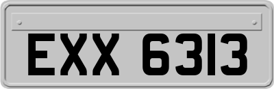 EXX6313