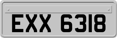 EXX6318
