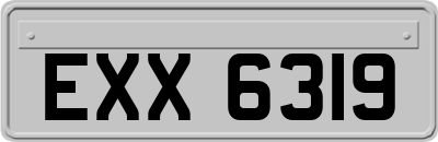EXX6319