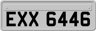 EXX6446