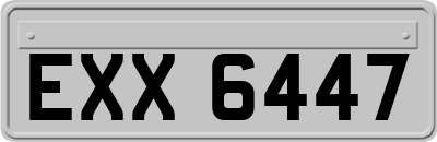 EXX6447