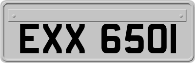 EXX6501