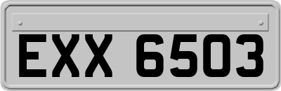 EXX6503
