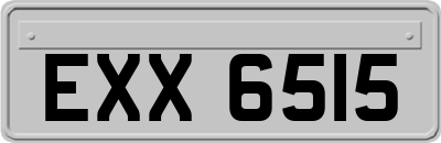 EXX6515