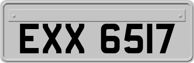 EXX6517