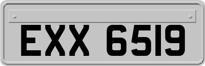 EXX6519