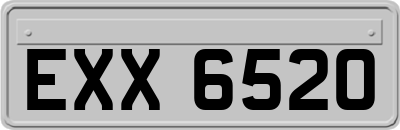 EXX6520