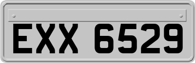 EXX6529