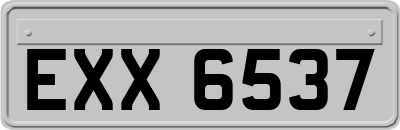 EXX6537