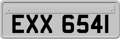 EXX6541