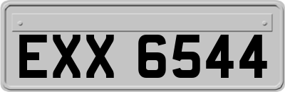 EXX6544