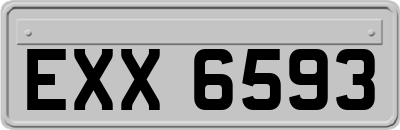 EXX6593
