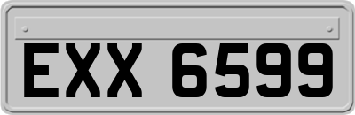 EXX6599