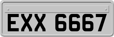 EXX6667