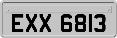 EXX6813
